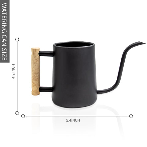Durable stainless steel watering can with wooden ergonomic handle