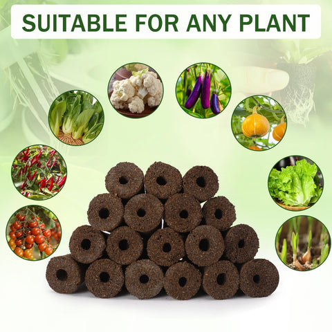 DECYOOL grow sponges deliver nutrients for robust seedling growth