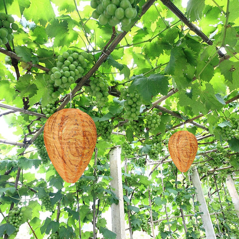 DECYOOL weatherproof wasp decoy protects outdoor spaces from pests.