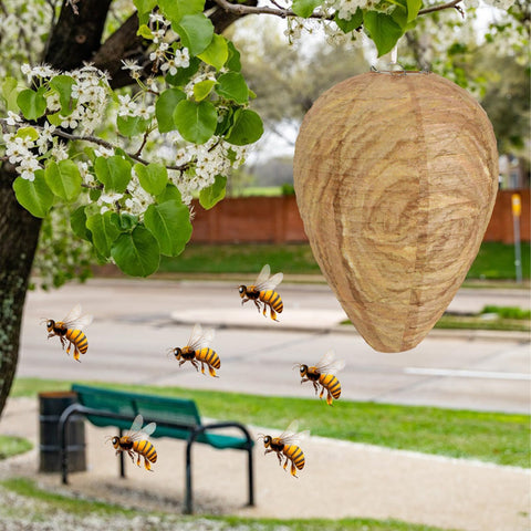 DECYOOL hanging nest installs easily on eaves, decks, or canopy areas