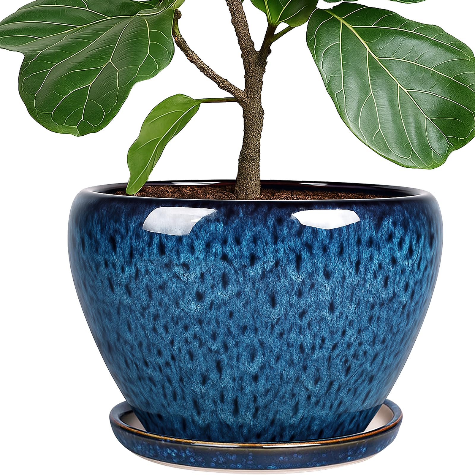 Deep Dream 10-inch planter in peacock blue glaze for stylish indoor decor.