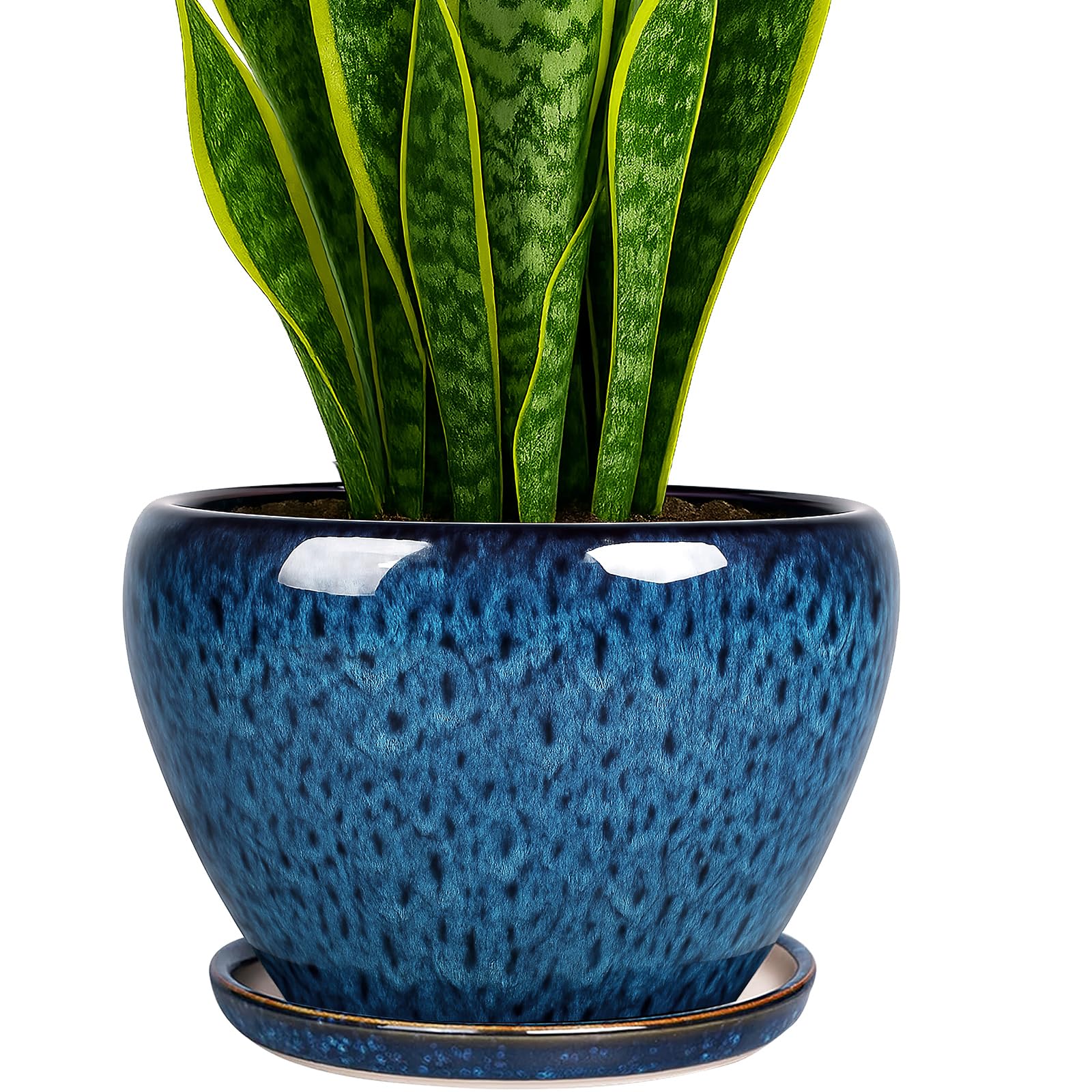 Deep Dream 8 inch plant pot front view showing durable ceramic design for indoor displays