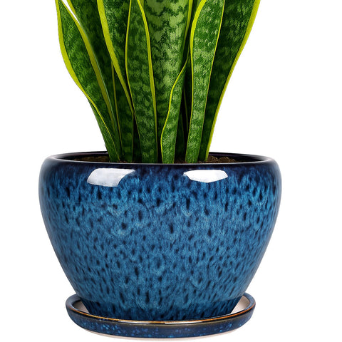 Deep Dream 8 inch plant pot front view showing durable ceramic design for indoor displays