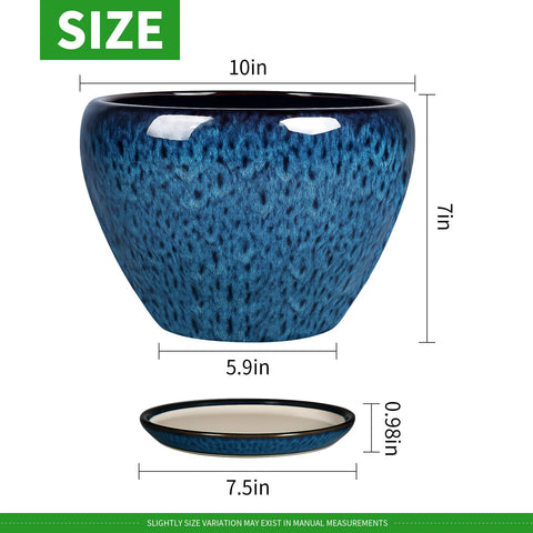 Deep Dream ceramic planter with drainage holes supports healthy root drainage.