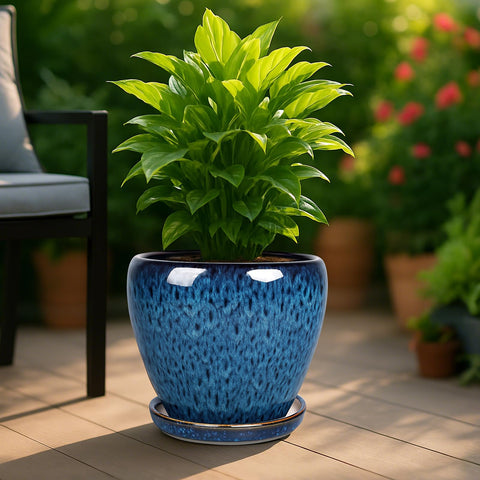 Deep Dream ceramic tray catches excess water to protect surfaces.