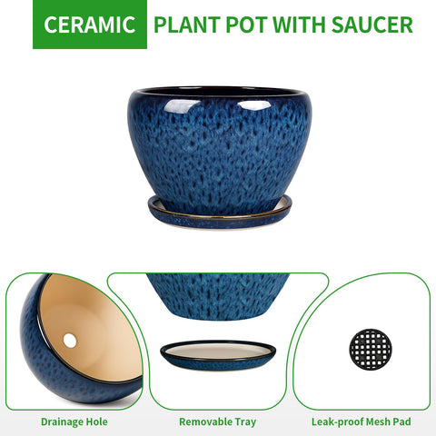 Deep Dream indoor-outdoor plant pot setup for versatile decor