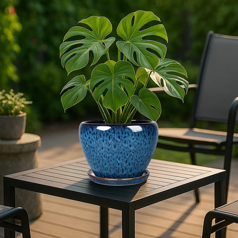 Deep Dream pot with saucer tray detail to prevent spills