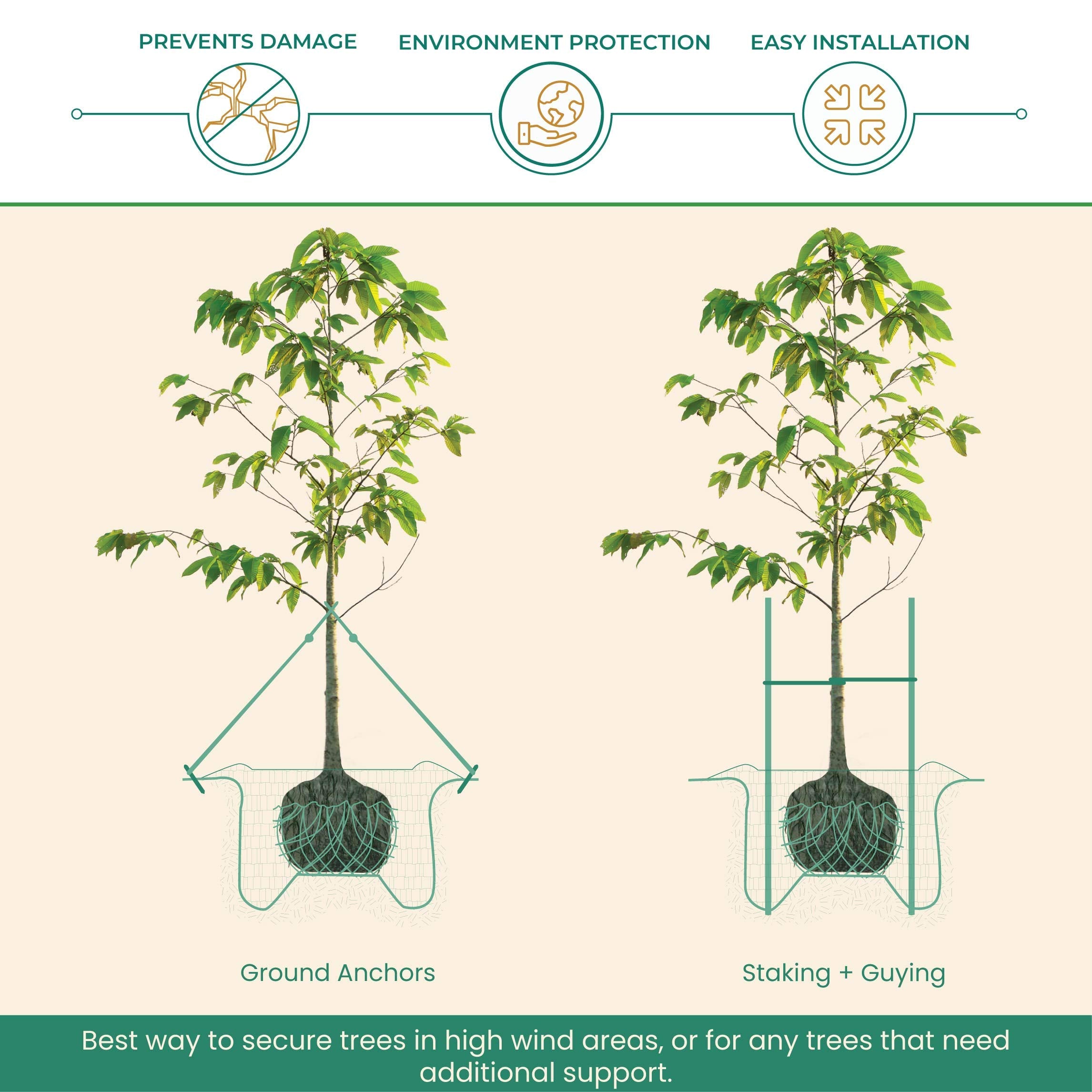 ArborTie provides strong, flexible support with 900 lb break strength