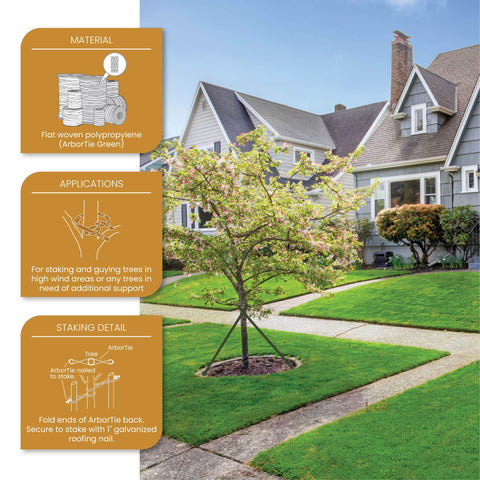 ArborTie soft polyester edge protects bark during staking