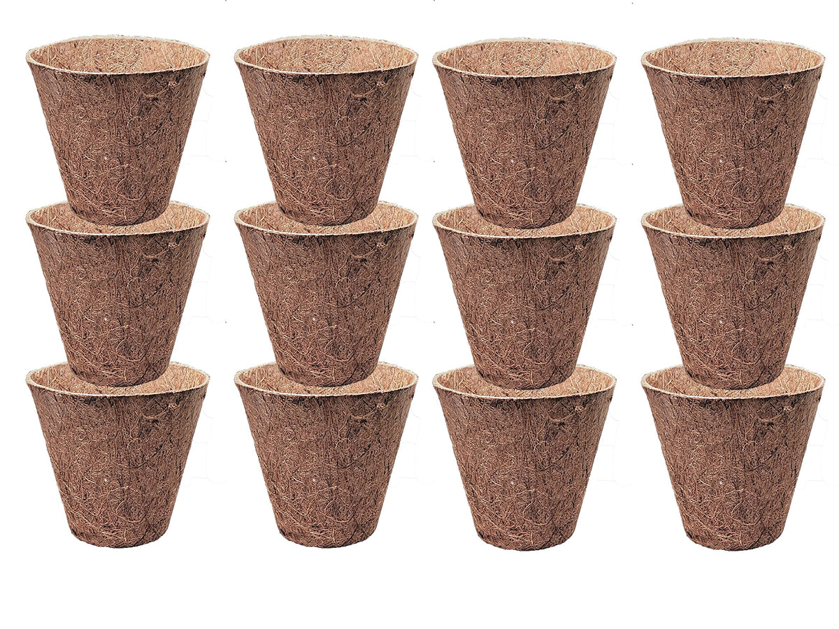 Deepthi 3-Inch coco coir pots for seedling start indoors, promoting healthy roots.