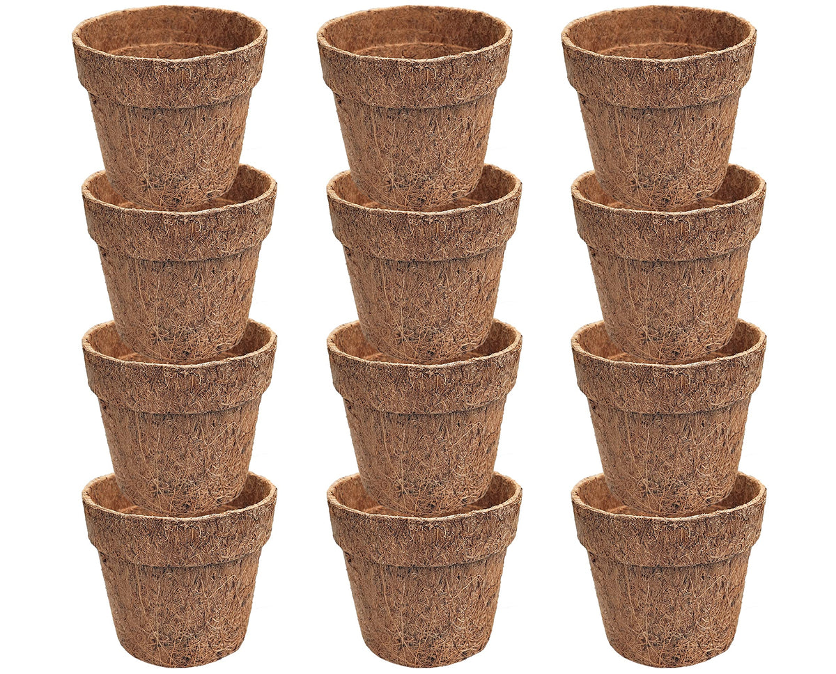 Deepthi 4-inch coco coir pot ideal for seed starting and healthy root airflow.