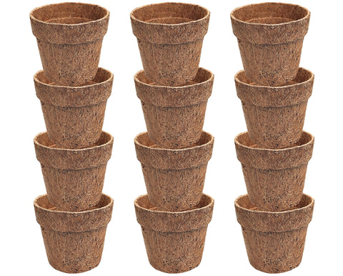 Deepthi 4-inch coco coir pot ideal for seed starting and healthy root airflow.