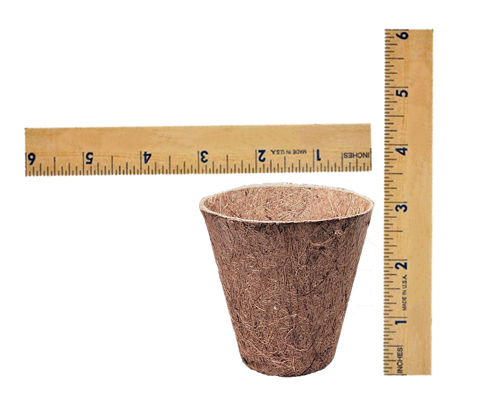 Deepthi biodegradable coir cups support transplant-ready seedlings in soil.