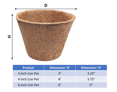 Deepthi seed-starting pots promote airflow and robust root systems for vegetables.