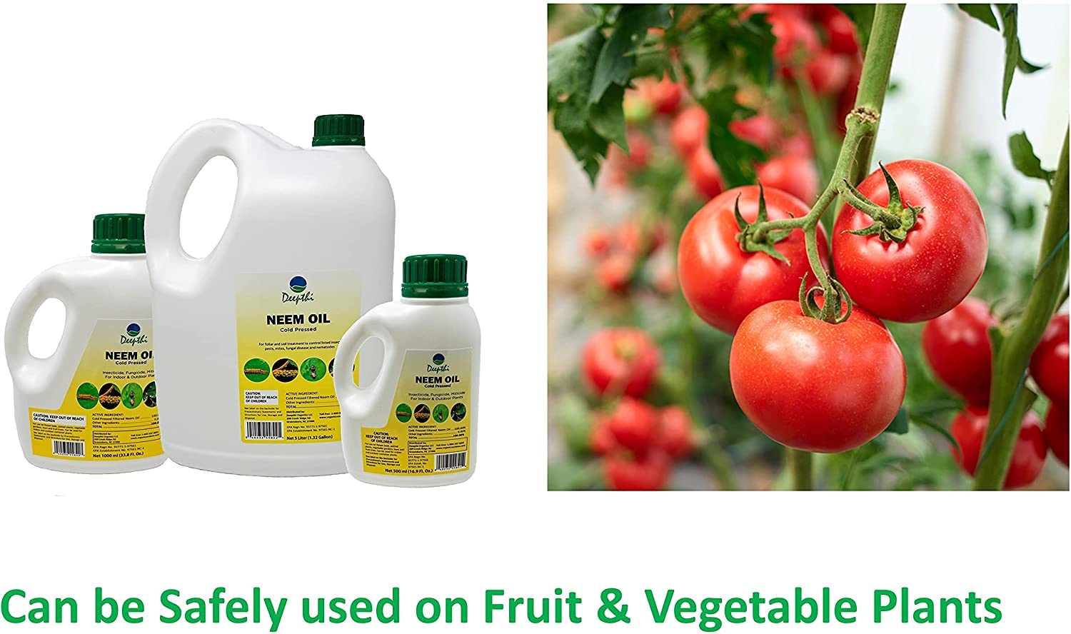 Deepthi Neem oil spray mix shows dual action as insecticide and fungicide.
