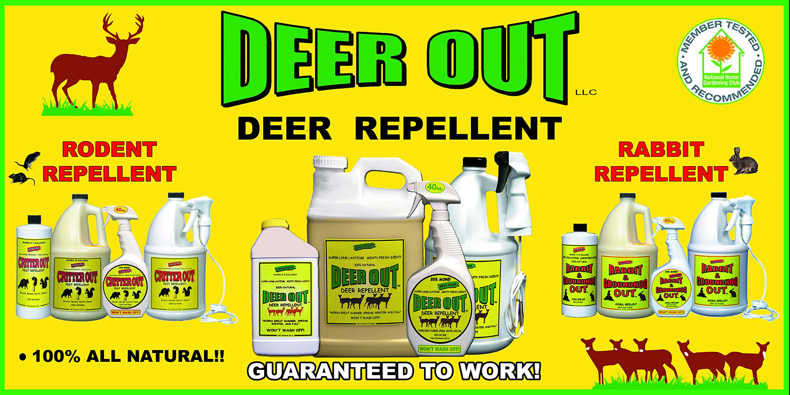 Deer Out spray on shrubs demonstrates easy, effective application