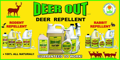 Deer Out spray on shrubs demonstrates easy, effective application