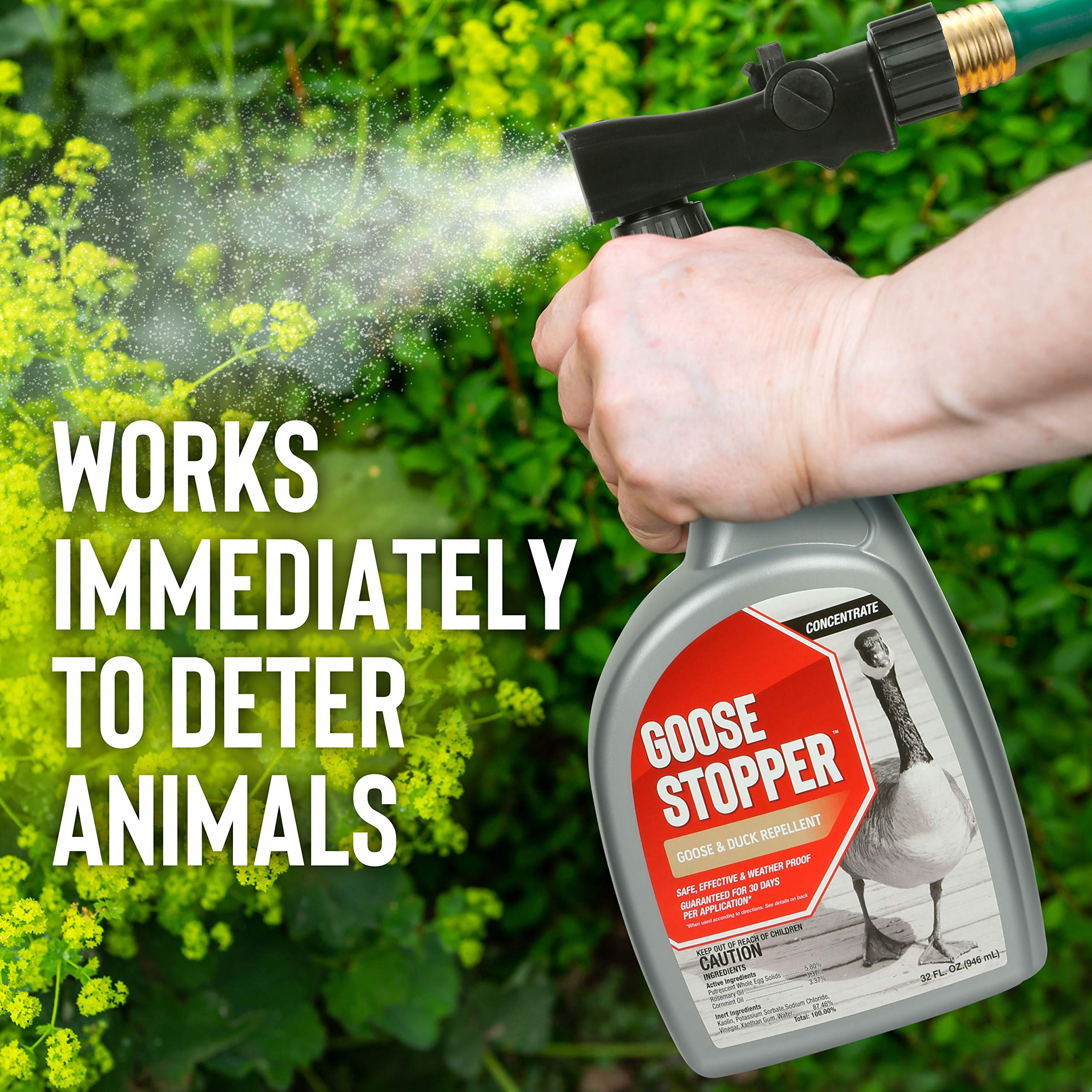 Deer Stopper Goose Stopper on a dock area shows odor-free deterrence in outdoor spaces.