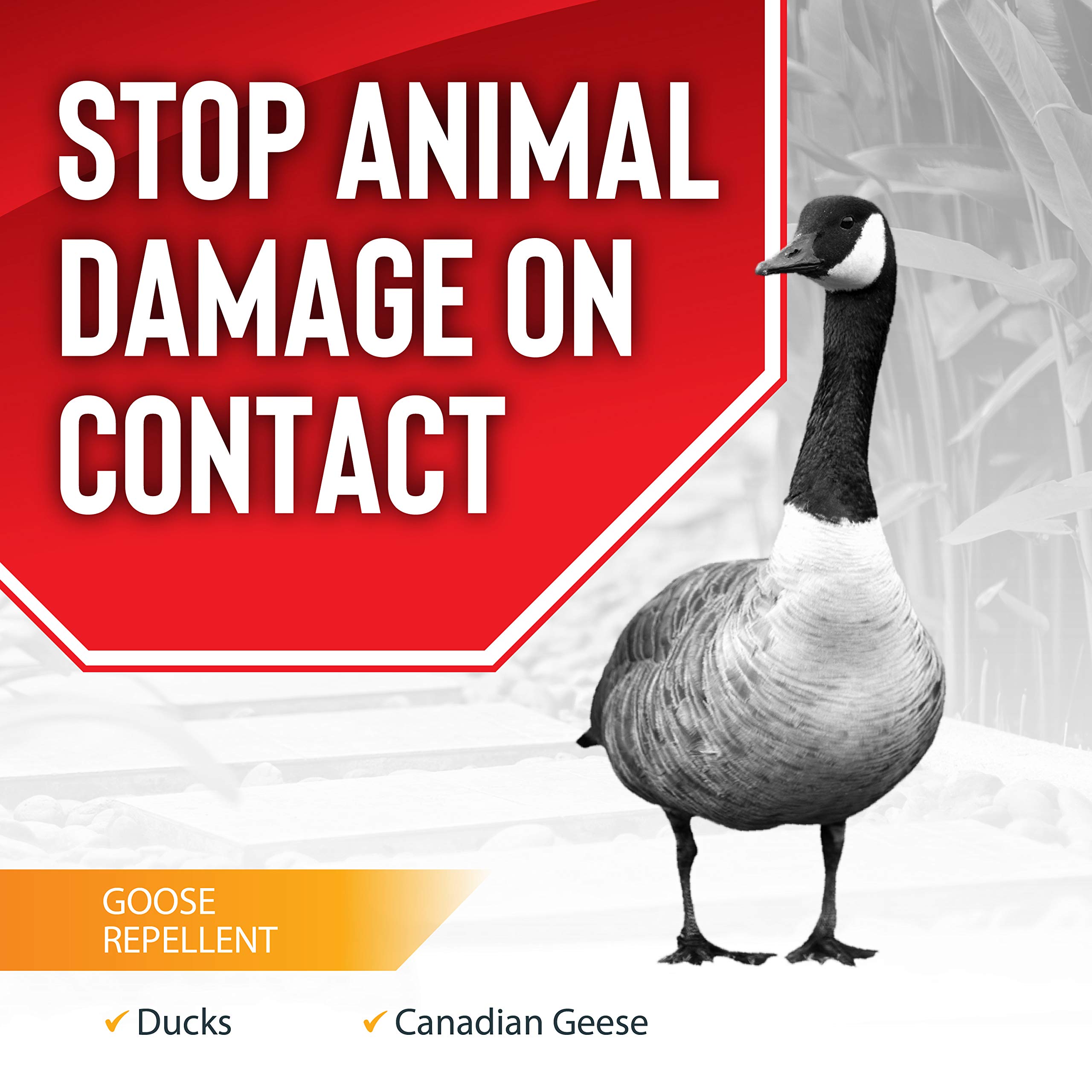 Deer Stopper Goose Stopper near garden beds highlights protection for flowers.