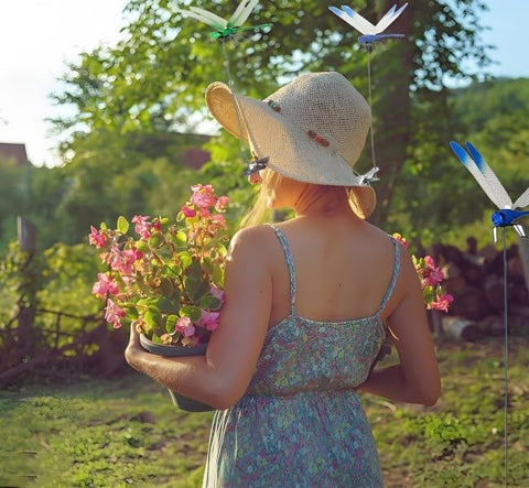 Defemim Dragonfly Stakes 3D: lifelike garden stakes add color and motion.