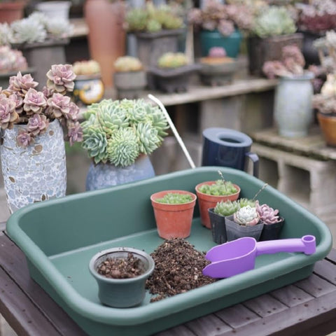 Defemim Garden Tidy Tray durable BPA-free plastic material