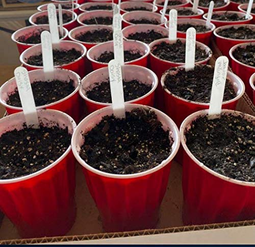 Delatanus 100-piece garden marker set keeps seeds organized and identifiable.