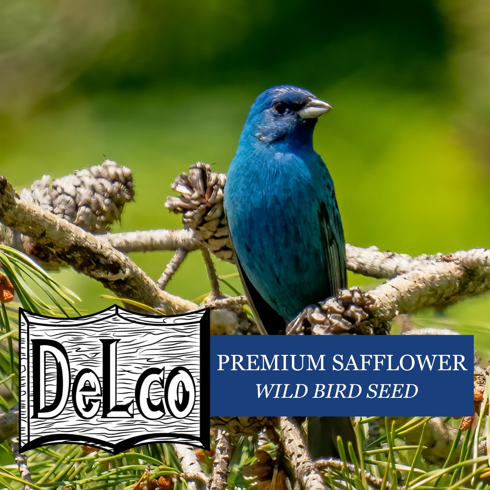 Finches at feeder with DelCo safflower, signaling year-round attractant.