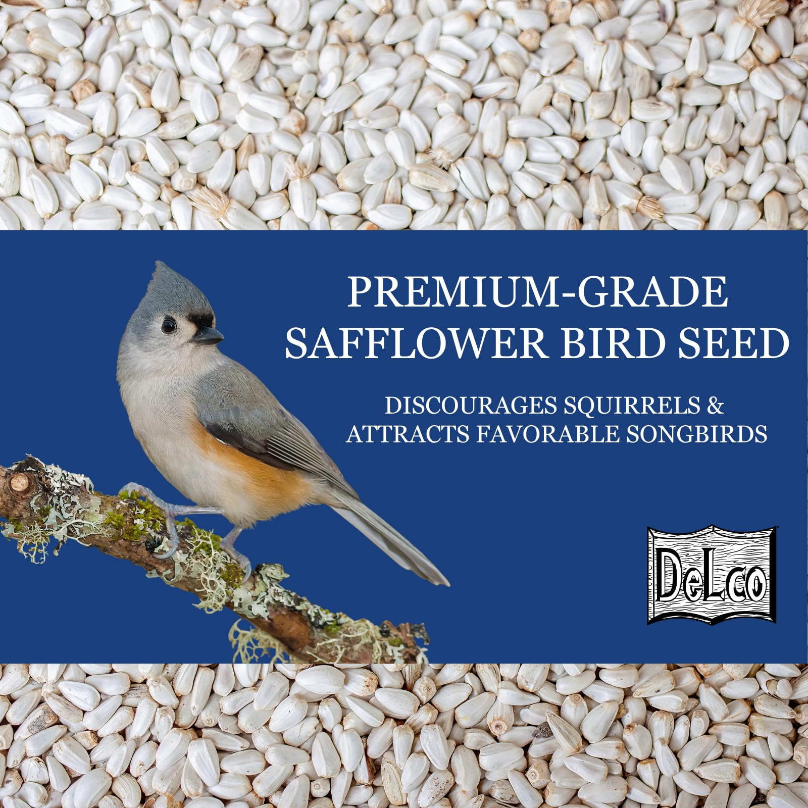 Cardinal at feeder with DelCo safflower, attracting songbirds with premium quality.