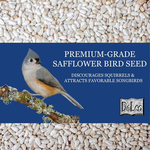 Cardinal at feeder with DelCo safflower, attracting songbirds with premium quality.