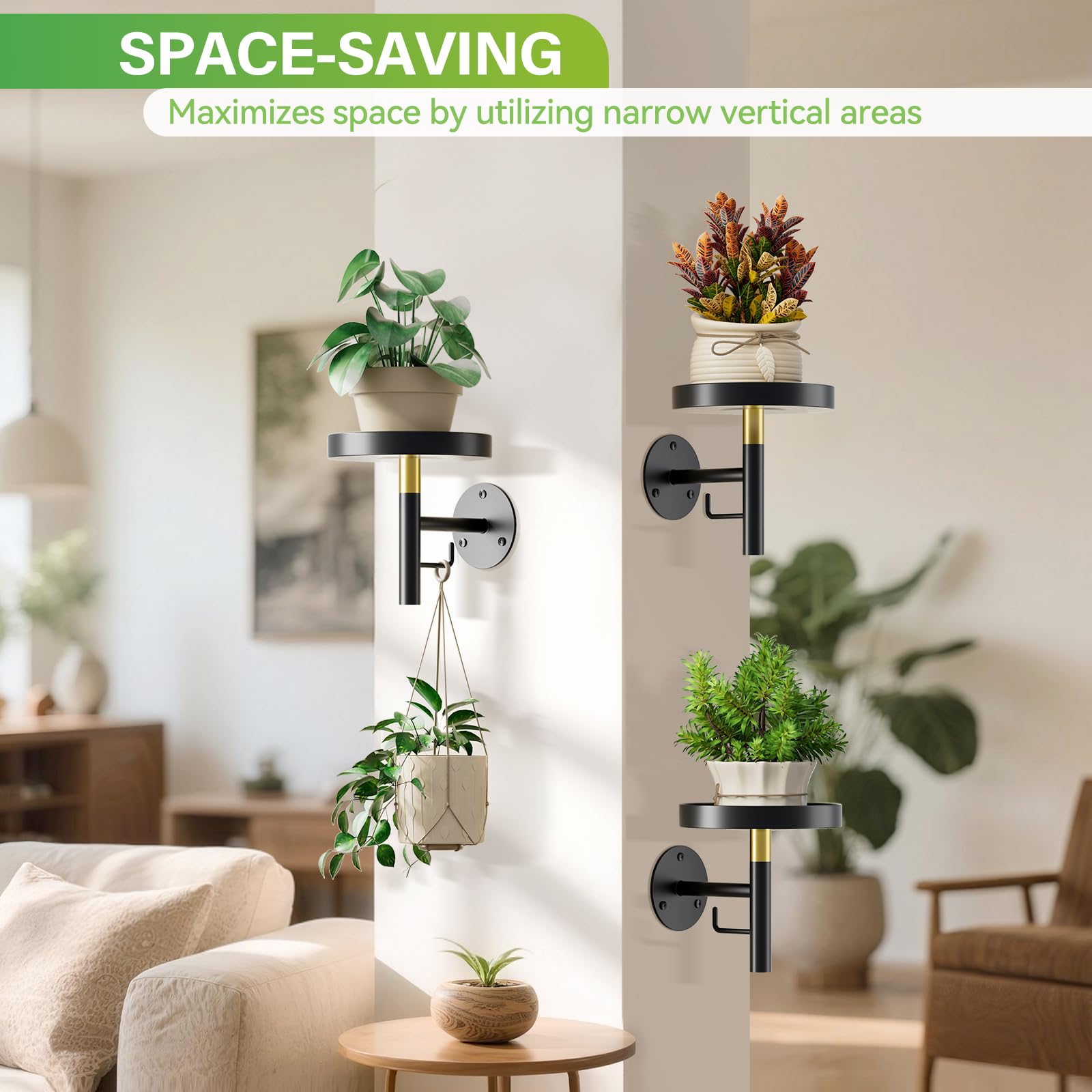 DELLAN 3-pack wall planters in metal showcase space-saving vertical display for greenery.
