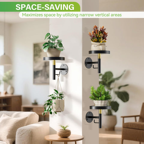 DELLAN 3-pack wall planters in metal showcase space-saving vertical display for greenery.