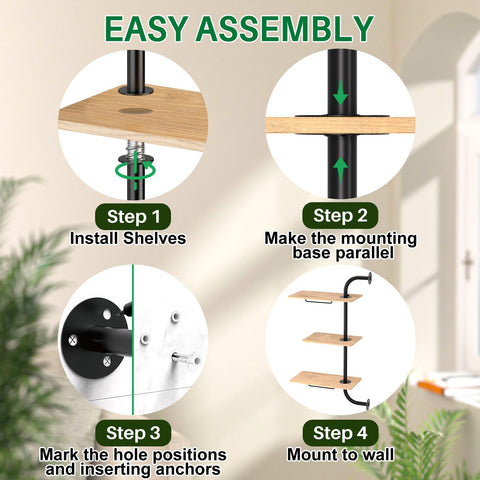 DELLAN space-saving window display helps create lush indoor garden