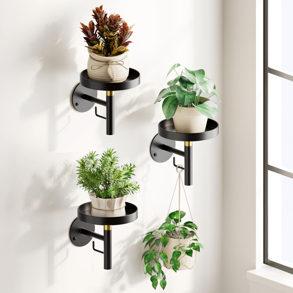 DELLAN wall plant holder installation demonstrates secure mounting for indoor greenery.