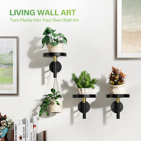 DELLAN window sill plant shelf positions plants for optimal sunlight exposure.