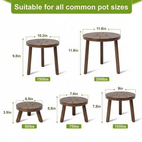 Delma Wood Plant Stand S highlights mid size pots for shelves and windowsills.