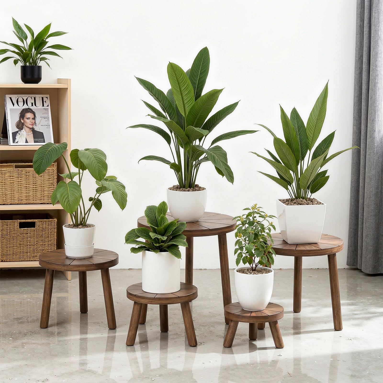 Delma Wood Plant Stand XL elevates tall specimens like fiddle leaf figs.