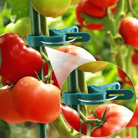 Value pack of 80 Delphinus plant clips for versatile gardening