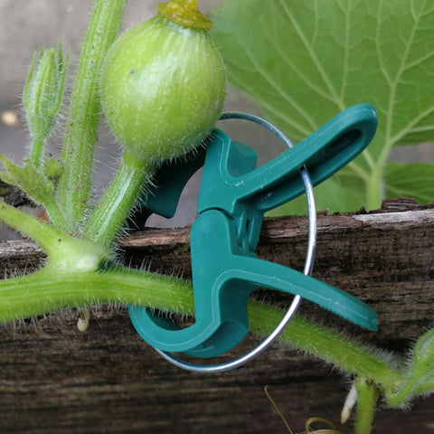 80-piece Delphinus set reusable to prevent wind damage to plants