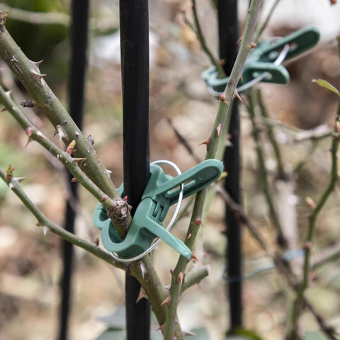Rust-free Delphinus clips with spring steel wire construction