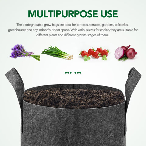 Delxo 12-pack grow bags displayed for easy organization.