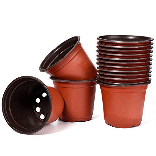 Delxo 4-inch nursery pot top view for easy seed starting and transplanting