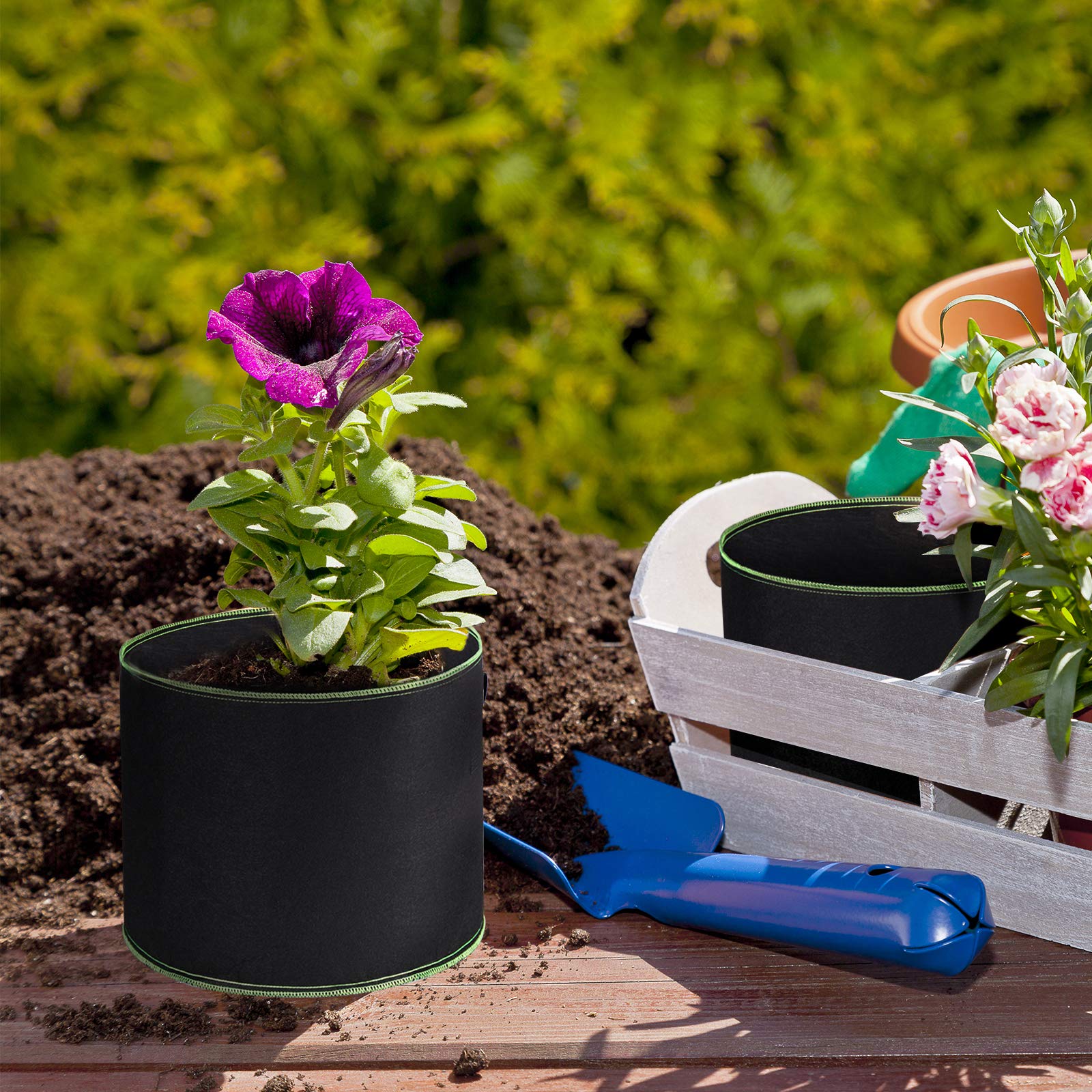 Delxo Garden Grow Bags BPA-free and chemical-free material for clean growing.