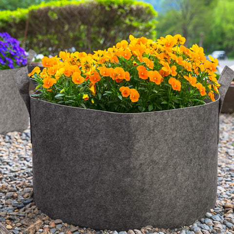 Delxo grey grow bags blend with outdoor spaces while protecting plants from temperature swings