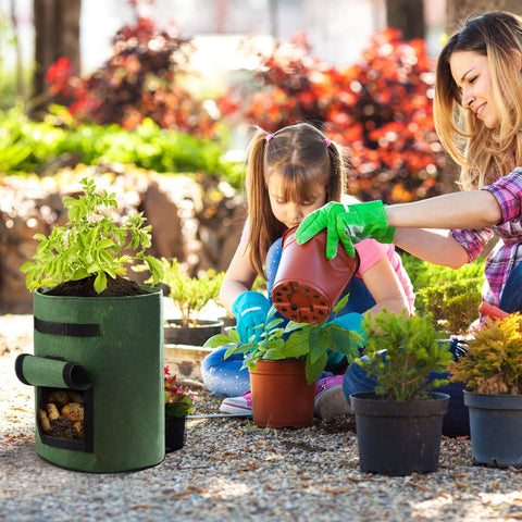 Delxo grow bags with reinforced handles for easy relocation.