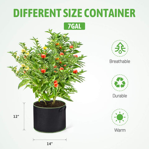 Delxo heavy-duty 300G nonwoven grow bag, breathable and durable.