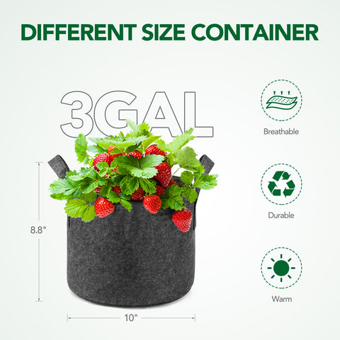 Delxo heavy-duty nonwoven fabric pot for durable planting.