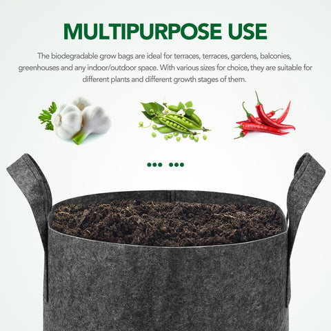 Delxo reusable grey grow bags reduce waste and simplify long-term planting.