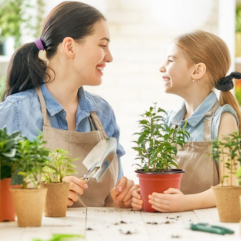 Delxo nursery pot is washable and reusable for multiple seasons.