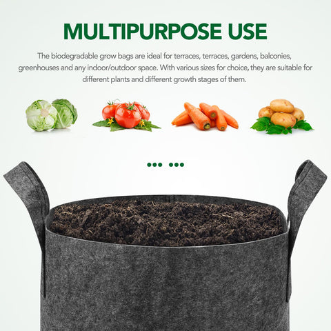 Delxo outdoor plant setup in grow bags shows weather-friendly temperature control.
