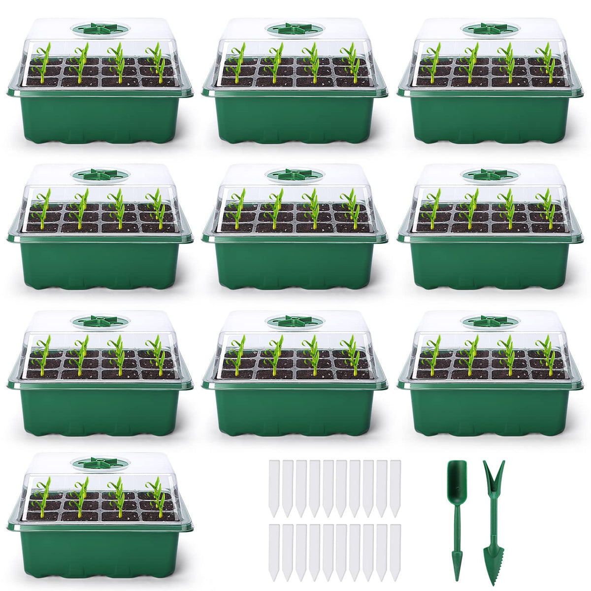 Delxo seed starter kit with 12-cell tray and dome supports organized germination and easy monitoring.